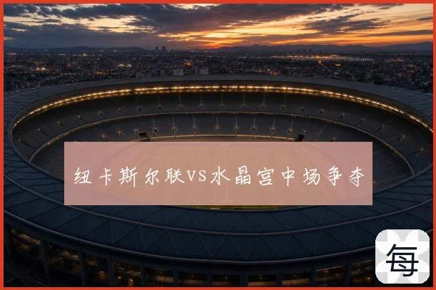 纽卡斯尔联vs水晶宫中场争夺
